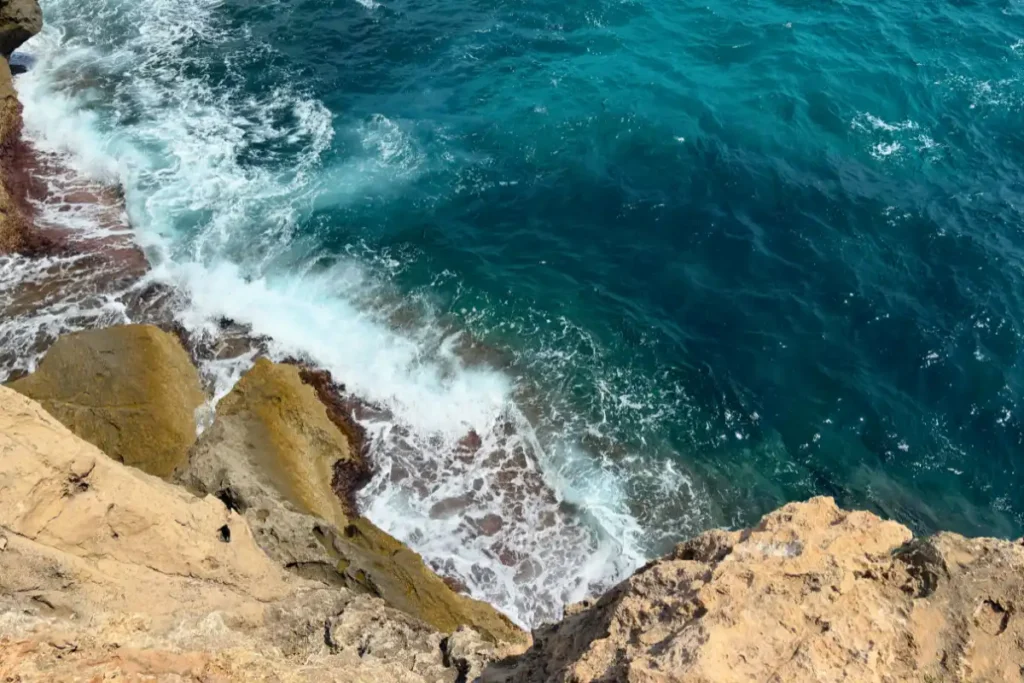 How Biotechnology Can Make Aquaculture Greener and Fresher